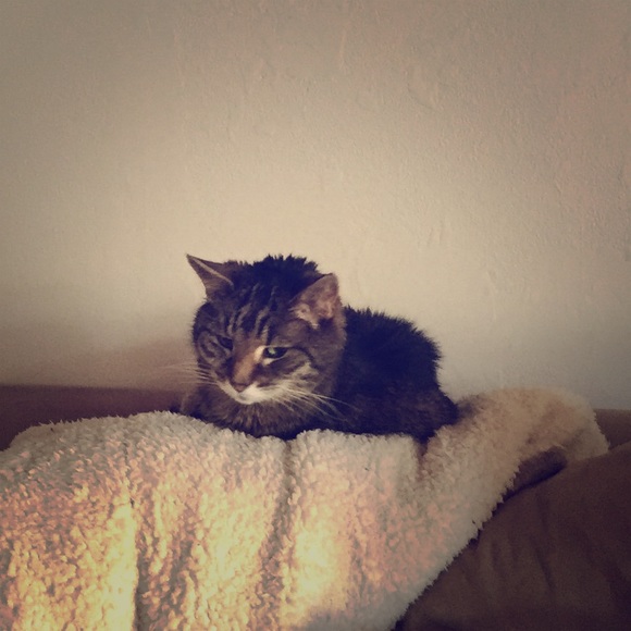 Thank you for stopping by my closet🌺🌸🌺🌸 - Picture 1 of 1